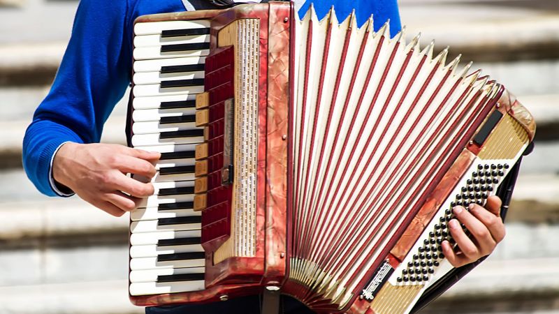 Progetto senza titolo 33 806716cd - San Vincenzo la Costa, torna il Festival Internazionale della Fisarmonica - 1 San Vincenzo la Costa, torna il Festival Internazionale della Fisarmonica
