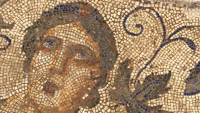 villa romana copertina 80687f21 - Archeologia di un abitare, la Villa Romana di S. Aloe - 1 Archeologia di un abitare, la Villa Romana di S. Aloe