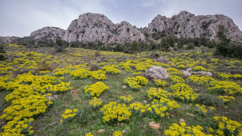 Escursioni con Gente in Aspromonte, alla scoperta dei Piani di Rufo
