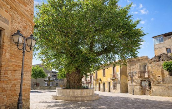 San Lorenzo Olmo Campestre 817cd858 - Meraviglie di Calabria - 1