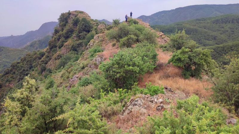 WhatsApp Image 2024 07 18 at 10.45.59 81ad162f - Sulle tracce dell'antica Roma: scoperto in Aspromonte il muro di Spartaco - 1 Sulle tracce dell’antica Roma: scoperto in Aspromonte il muro di Spartaco