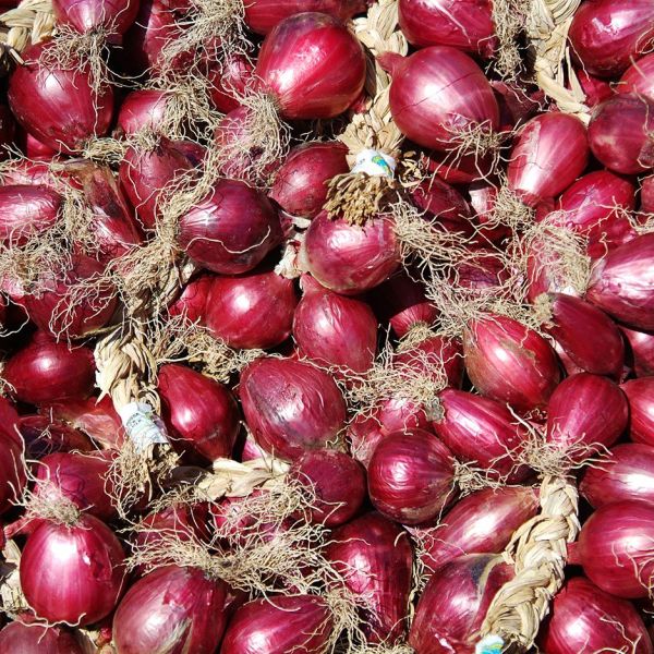 La Cipolla Rossa di Tropea su Rai 2 per Pizza Doc