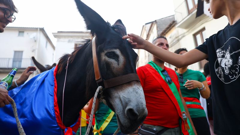 La corsa di ‘Raschatieddu’, al ‘Palio cu i ciucci’ vince la San Sebastiano