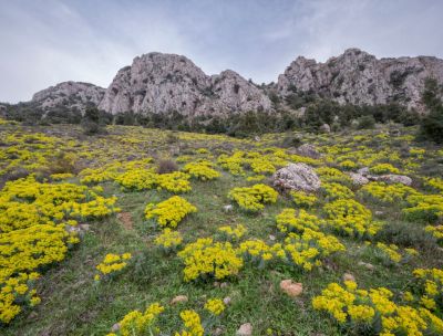 Escursioni con Gente in Aspromonte, alla scoperta dei Piani di Rufo