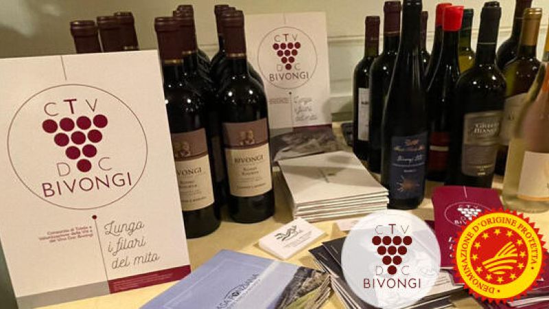 bivongi 2 e1713361908652 85885387 - Il “dopo Vinitaly” a Verona è festa con il Consorzio Doc Bivongi - 1 Il “dopo Vinitaly” a Verona è festa con il Consorzio Doc Bivongi