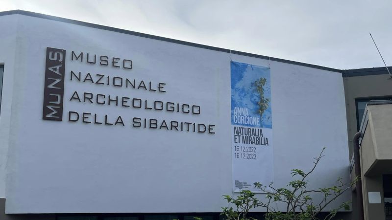 museoarcheologicosibari 85a5fbc9 - Naturalia et Mirabilia: al Museo Nazionale Archeologico di Sibari è ancora evento - 1 Naturalia et Mirabilia: al Museo Nazionale Archeologico di Sibari è ancora evento