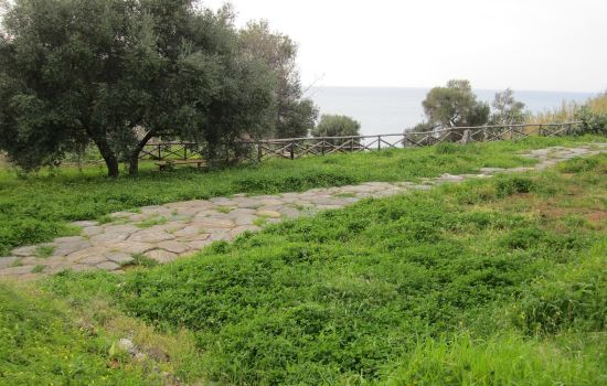 parco archeologico dei taureani Selciato Romano By Marco Vinci Own work CC BY SA 3.0 85236b43 - Meraviglie di Calabria - 1