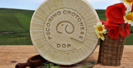 pecorino crotonese 1 1 85b3f645 - Meraviglie di Calabria - 29