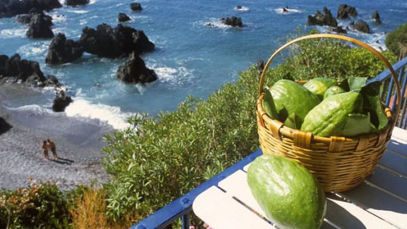 riviera dei cedri mare e1709033268586 866f2307 - Turismo esperienziale sulla Riviera dei Cedri, il Consorzio del Cedro tra i protagonisti - 1 Turismo esperienziale sulla Riviera dei Cedri, il Consorzio del Cedro tra i protagonisti