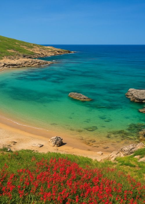 saraceni 864b173e - Home - 13 La Costa dei Saraceni