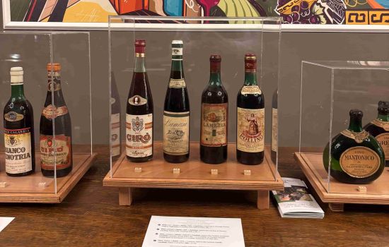 Vino antiche etichette Calabria Wild Wine 8 a scaled 87d16154 - Meraviglie di Calabria - 1