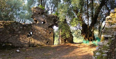 WhatsApp Image 2024 06 20 at 17.24.56 87d6af4d - Meraviglie di Calabria - 35