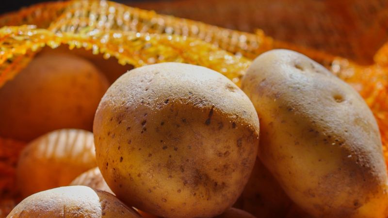 patate 871b8343 - Festa per la regina della Sila, a Lagarò torna la Sagra della patata - 1 Festa per la regina della Sila, a Lagarò torna la Sagra della patata