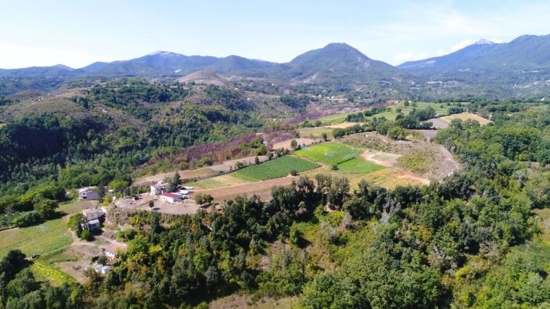 Il terrazzo di Santa Gada di Laino Borgo 88c2a675 - AgriLaos, la fiera agro forestale organizzata a Laino Borgo - 1 AgriLaos, la fiera agro forestale organizzata a Laino Borgo