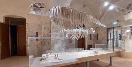 Museo del mare e1679666321688 88094136 - Meraviglie di Calabria - 17