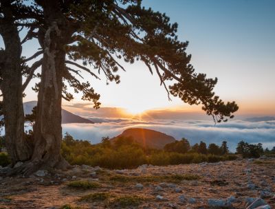 Il Parco del Pollino premiato a Sanremo con l’ECO MOVE PRIZE