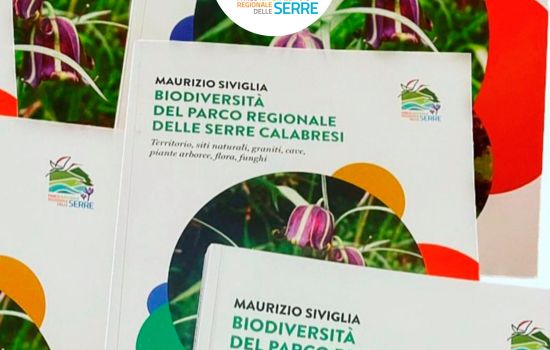 360108912 661452896015514 8997507301148177142 n 1 8947849f - Meraviglie di Calabria - 8
