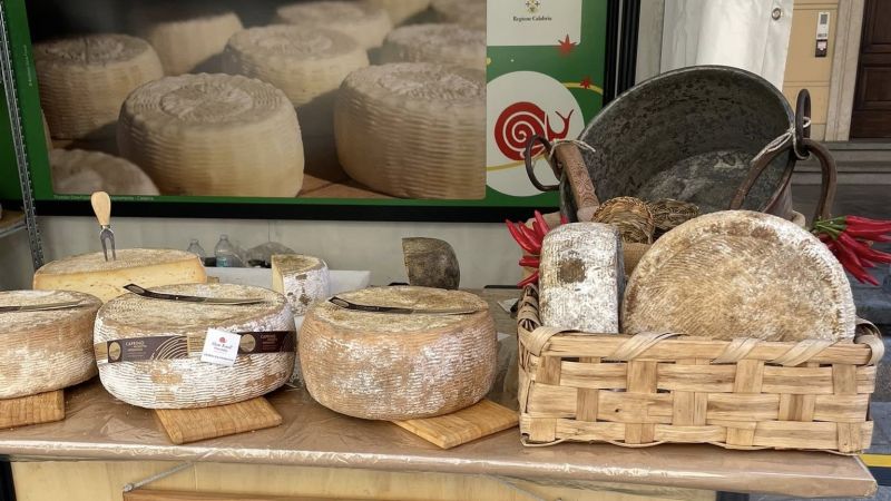 Caprini d’Aspromonte, nasce il nuovo presidio Slow Food della Calabria
