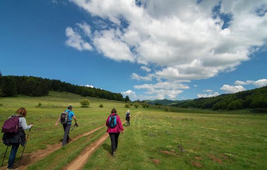 sila trekking 8ae37f29 - Meraviglie di Calabria - 1
