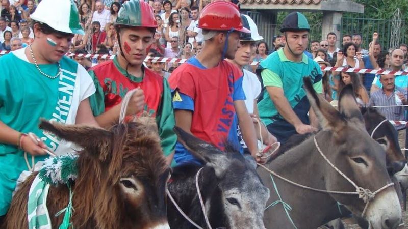 Il palio dei ciucci e1707321218437 8cc46580 - Il palio cu i ciucci di Laino apre il Carnevale di Castrovillari - 1 Il palio cu i ciucci di Laino apre il Carnevale di Castrovillari
