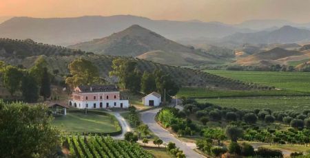 Tenuta Rosaneti Librandi e1708709949630 8c02f1df - Meraviglie di Calabria - 33