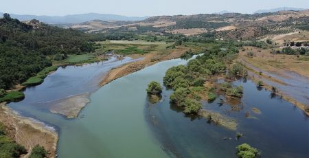 RISERVA TARSIA ACQUA E FORESTA 10 8d7f0fa4 - Meraviglie di Calabria - 25