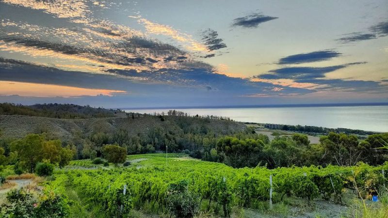 Calabria oasi biodiversità d’Europa, 32% habitat censiti in Ue