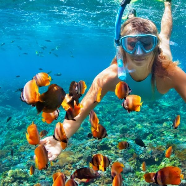Alla Scoperta dei Migliori Luoghi per Snorkeling in Calabria