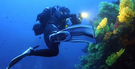 Sub Ph ente parchi marini calabria 8fad1a2b - Meraviglie di Calabria - 13