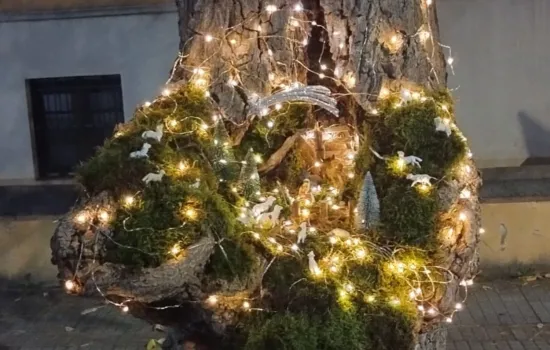 presepe nell albero cosenza 3 ph Tullio Cerzoso 1 B 8ff6f681 - Meraviglie di Calabria - 1
