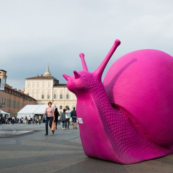 Al via Terra Madre 2026, a Torino la magnifica biodiversità calabrese