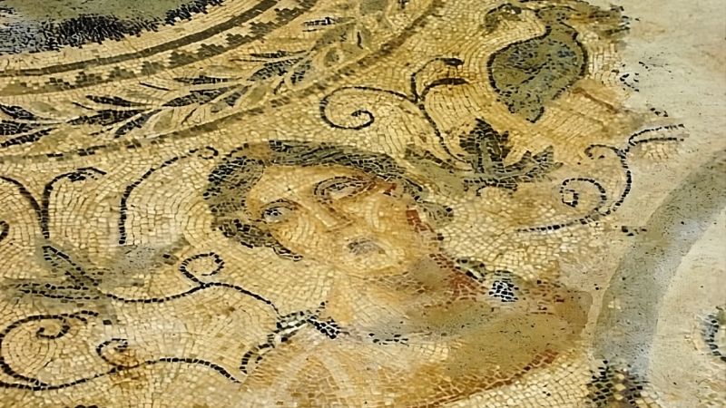 vibo archeologia villa romana santaloe 1 8f3400f3 - Villa Romana di S. Aloe, gli splendidi mosaici nel Parco Hipponion - 1 Villa Romana di S. Aloe, gli splendidi mosaici nel Parco Hipponion