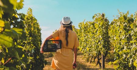Donna in vigna Woman in vineyard e1709555175367 90189b21 - Meraviglie di Calabria - 17