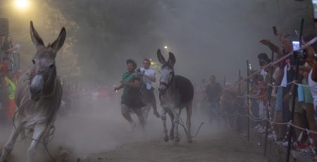 Laino Borgo Palio dei ciucci 11 foto Ladaga Biagio 908c1ea7 - Meraviglie di Calabria - 47