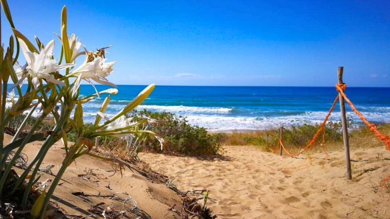 L’incanto della Spiaggia dei Gigli sulla Costa dei Saraceni