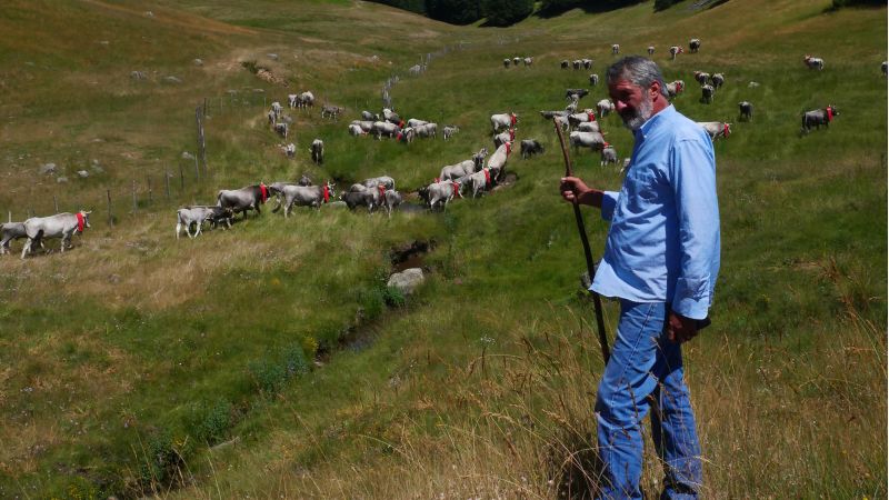 Transumanza calabria 2 90a5458a - Cineteca della Calabria, spunti di storie perdute per ricordare - 1 Cineteca della Calabria, spunti di storie perdute per ricordare