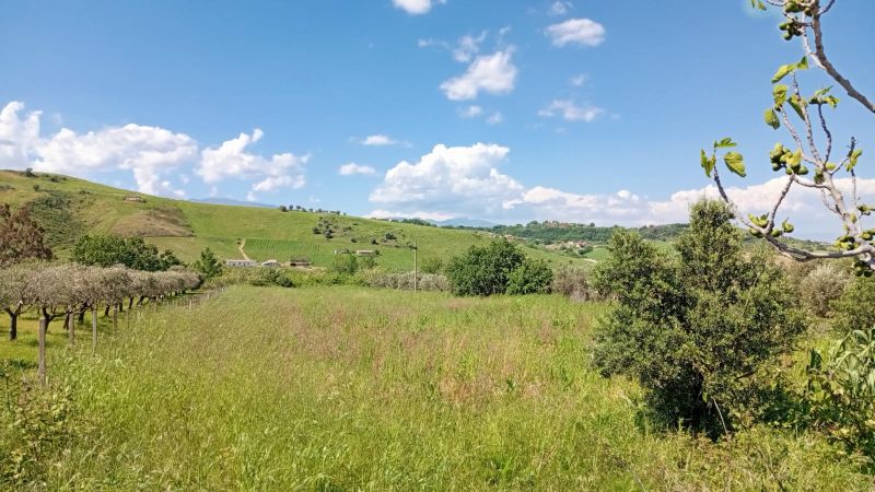 Dagli Usa in Calabria per dar vita ad un orto comune. La proposta di Francesco Incoronato