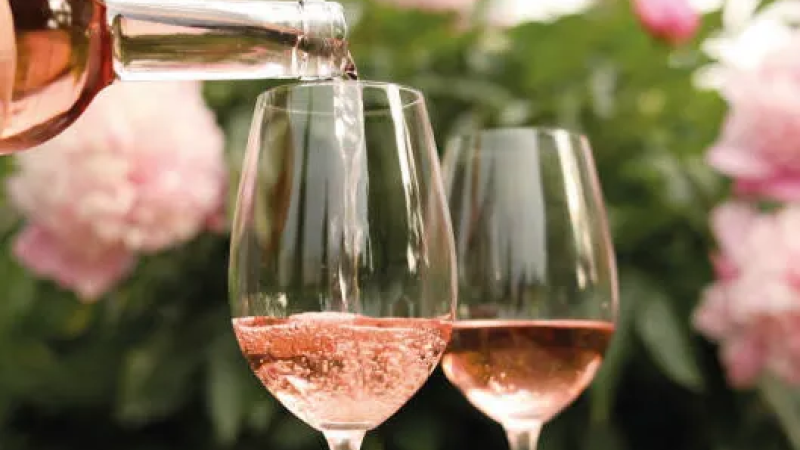 vini rosati 2 91e1f2ec - Il "Miglior vino rosato” d’Italia è il Pescanera di Ippolito 1845 - 1 Il “Miglior vino rosato” d’Italia è il Pescanera di Ippolito 1845