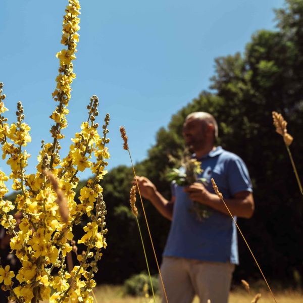 Tutto il patrimonio botanico del Parco in “Pollino Cocktail Camp”