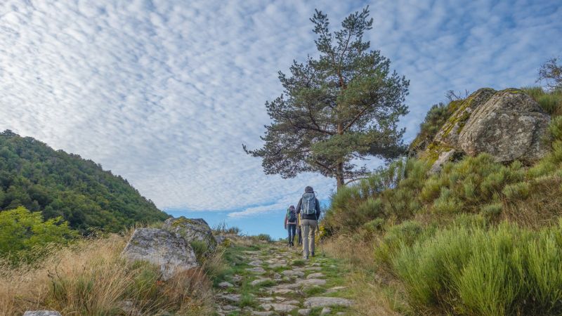 I cammini di San Giacomo e del Normanno riconosciuti dalla Regione