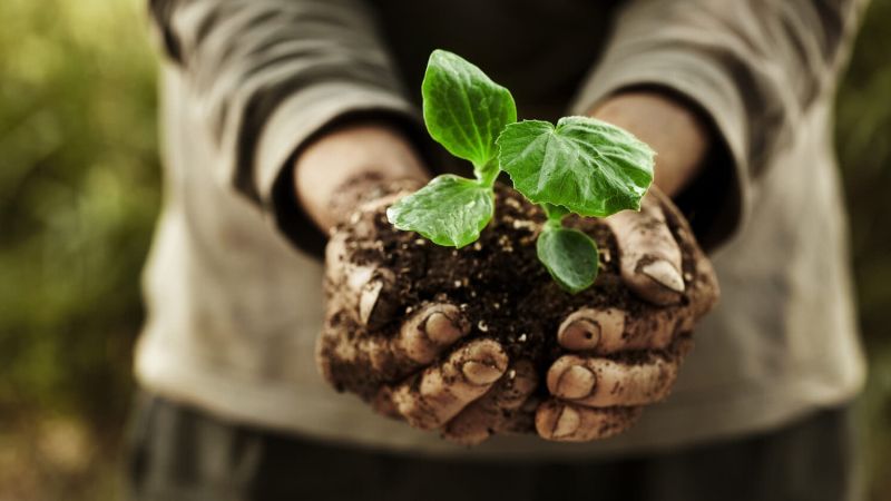 coltivare agricoltura contadinoFotolia 54141149 Subscription Monthly M e1712237879730 9281c0b7 - A Belcastro si sperimenta. Coltivazioni bio a sostegno dei lavoratori disabili - 1 A Belcastro si sperimenta. Coltivazioni bio a sostegno dei lavoratori disabili