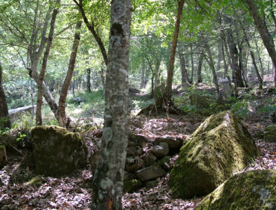 Il mistero dei megaliti nel bosco di Castroregio