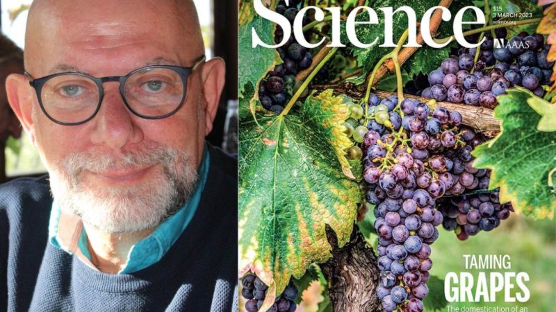 UniRC prof. Francesco Sunseri 939e4a98 - L’origine della vite e la nascita del vino: le ultime ricerche della “Mediterranea” - 1 L’origine della vite e la nascita del vino: le ultime ricerche della “Mediterranea”