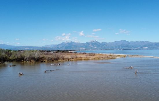 RISERVA TARSIA ACQUA E FORESTA 8 94d20a4c - Meraviglie di Calabria - 37