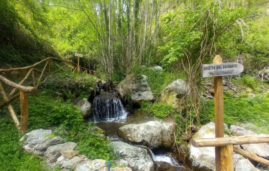 Sila Trekking sentiero del brigante cover 94e92d3e - Meraviglie di Calabria - 1