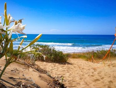 L’incanto della Spiaggia dei Gigli sulla Costa dei Saraceni