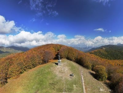 A scuola nel Parco dell’Aspromonte, i viaggi di istruzione in piena natura