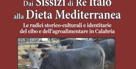 Copertina 6 e1684833778479 953a31d4 - Meraviglie di Calabria - 14