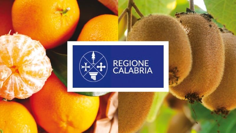 pagina 141 italian retailer business lounge 952fa2de - La Calabria è partner di MacFrut - 1 La Calabria è partner di MacFrut