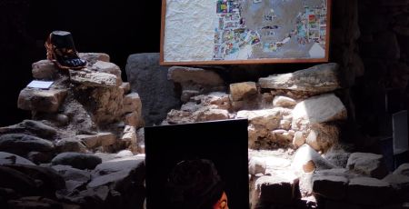 mostra-fragili
